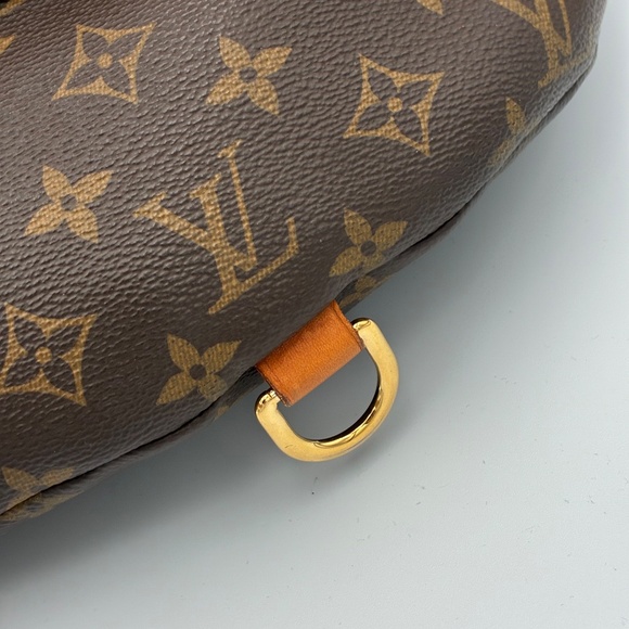 Louis Vuitton Bumbag - Picture 4 of 16